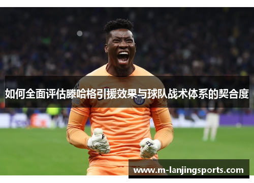 如何全面评估滕哈格引援效果与球队战术体系的契合度