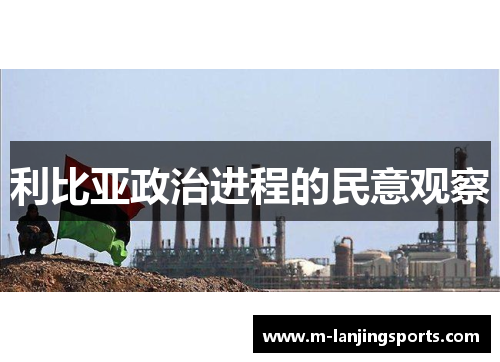 利比亚政治进程的民意观察